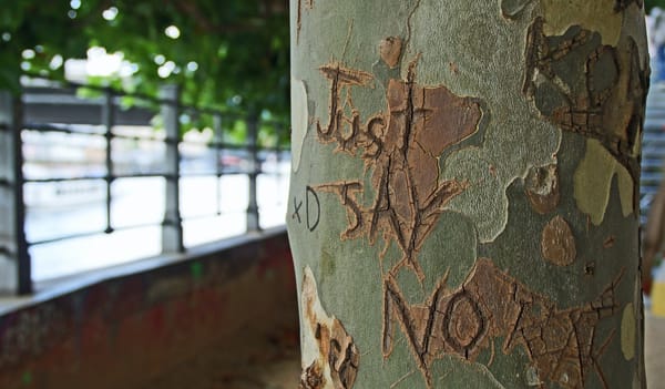 A tree trunk with carved words Just Say No, blending nature and human expression, symbolises communication challenges.