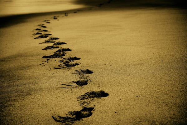 Footprints on a sandy beach.